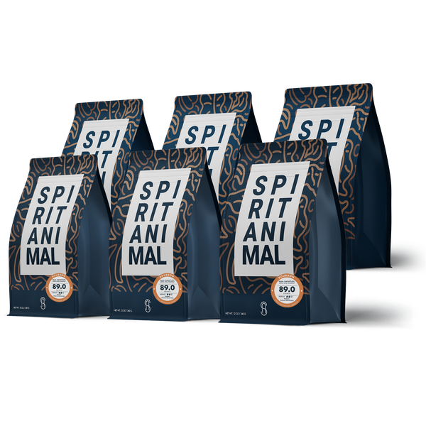 Honduran Bourbon Coffee - 6-Pack - 4.5lb