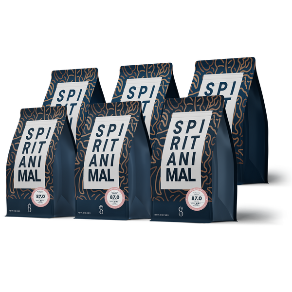 Honduran Parainema Coffee -  6-pack - 4.5lb