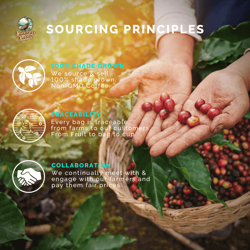 Castaway Coffee B.A.S.S. Kickin' Blend Gift Set