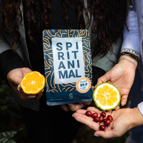 Honduran Bourbon Coffee 1.8oz (50g) Sample bag