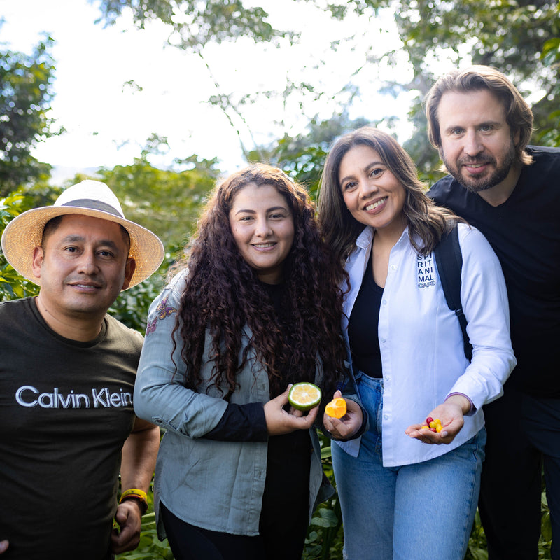 Honduran Bourbon Coffee - 6-Pack - 4.5lb