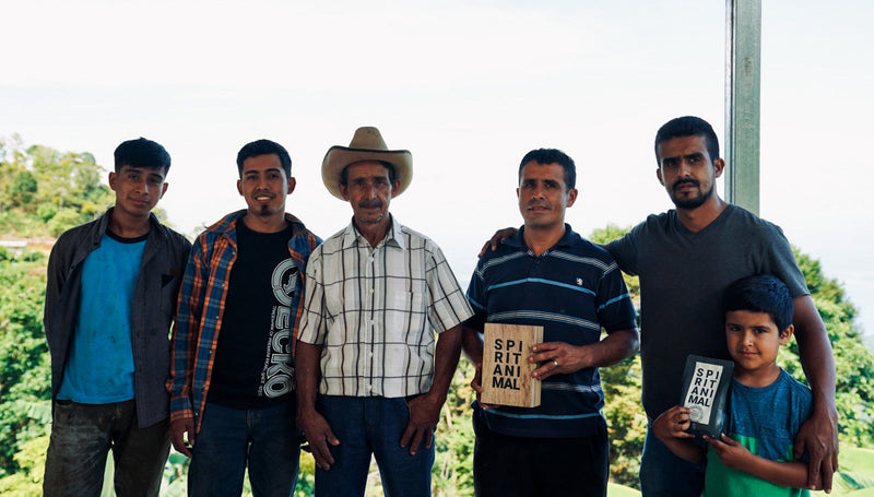 Yellow Catuai & Parainema 1.8oz (50g) Sample bag