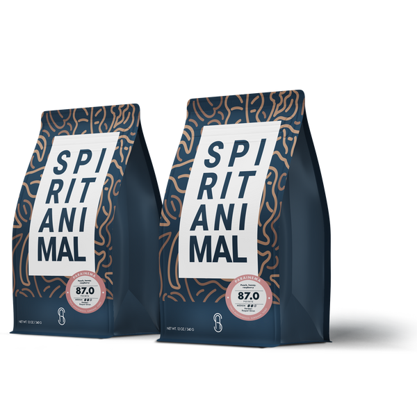 Honduran Parainema Coffee - 2-Pack