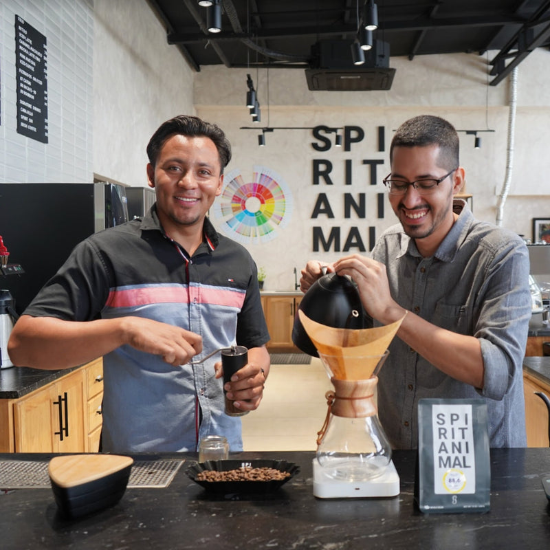 Honduran Cup of Excellence Parainema Coffee 1.8oz (50g) Sample bag